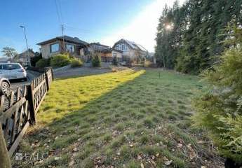 469353-Vorschaubild4