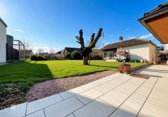 473255-Vorschaubild4