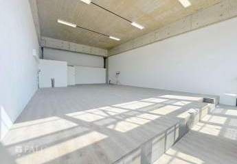 440849-Vorschaubild3