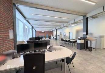 436492-Vorschaubild2