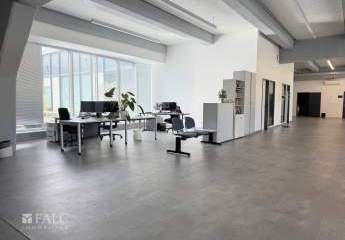 436493-Vorschaubild3