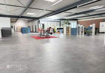 436494-Vorschaubild2