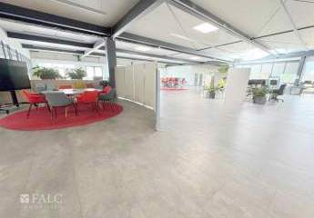 436494-Vorschaubild4