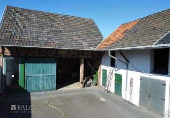 476050-Vorschaubild2