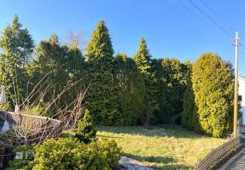 476158-Vorschaubild2