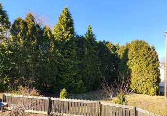 476158-Vorschaubild3