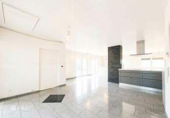 476947-Vorschaubild3