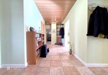 411154-Vorschaubild3