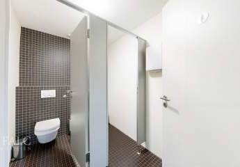 486465-Vorschaubild4