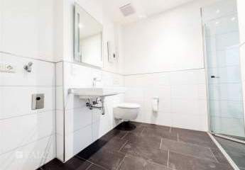 490322-Vorschaubild3