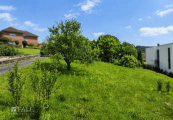 496030-Vorschaubild4