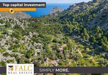 Traditionelles Landgut mit Restaurant, Ölmühle und spektakulärer Lage in der Tramuntana