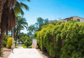 452615-Vorschaubild2