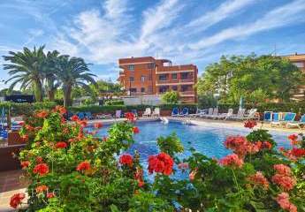 452857-Vorschaubild2