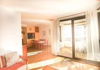 452857-Vorschaubild3