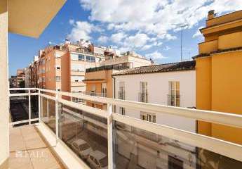 452858-Vorschaubild3