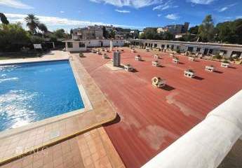 452875-Vorschaubild2