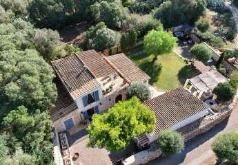 441290-Vorschaubild2