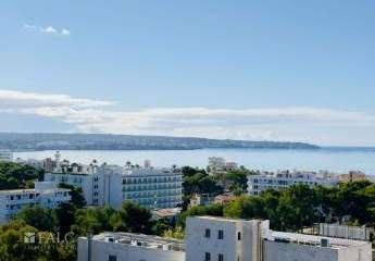 454388-Vorschaubild3