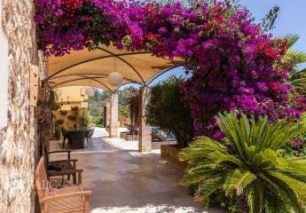 454502-Vorschaubild2