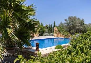 454502-Vorschaubild3