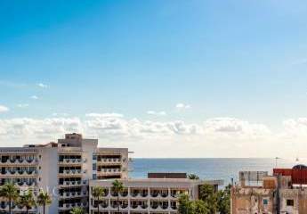 451067-Vorschaubild3