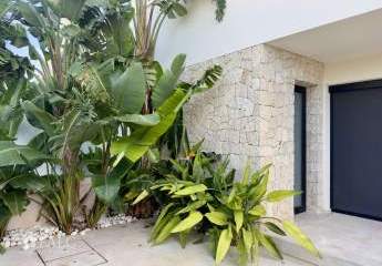 455849-Vorschaubild4