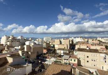 455953-Vorschaubild2