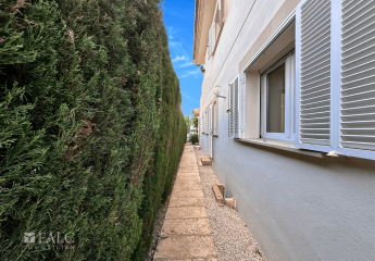 456142-Vorschaubild3