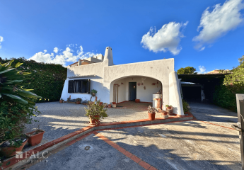 456521-Vorschaubild4