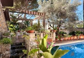 456522-Vorschaubild2