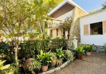 456522-Vorschaubild3