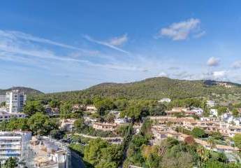 456644-Vorschaubild2