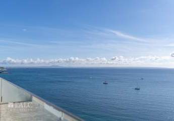 456644-Vorschaubild3