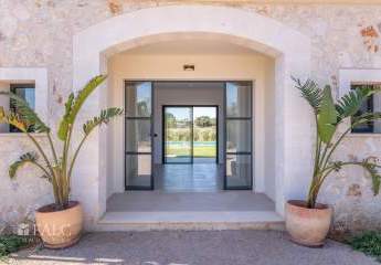 428695-Vorschaubild2