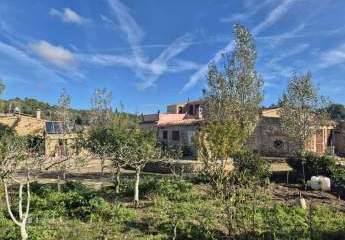 457052-Vorschaubild3