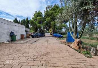 449244-Vorschaubild3