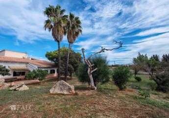 449244-Vorschaubild4