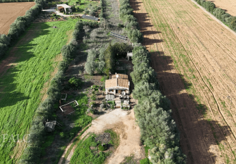 458123-Vorschaubild2