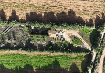 458123-Vorschaubild4