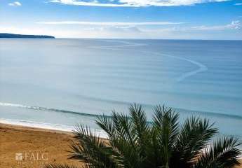 458162-Vorschaubild2