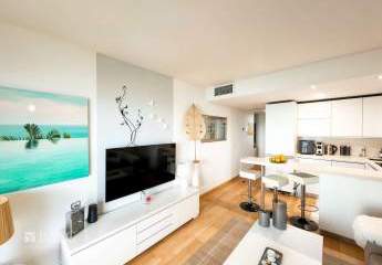 441505-Vorschaubild3