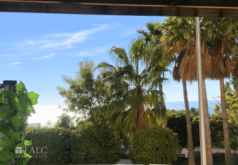 458711-Vorschaubild2