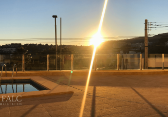 458711-Vorschaubild3