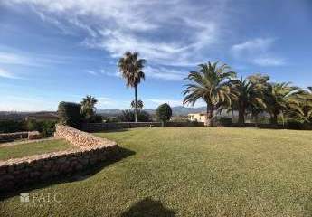 456955-Vorschaubild3