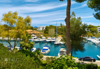 458836-Vorschaubild4