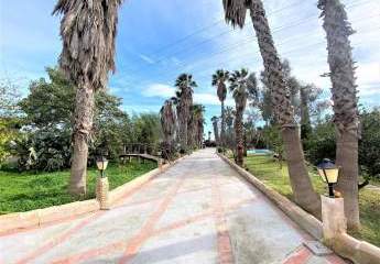 459987-Vorschaubild2