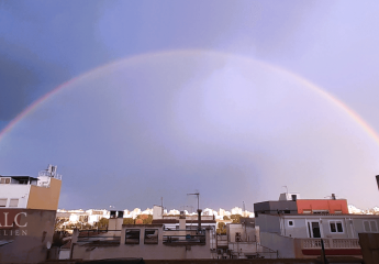 422907-Vorschaubild3