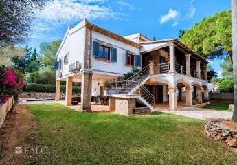 413832-Vorschaubild2