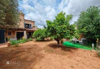 420478-Vorschaubild3